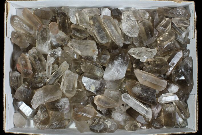 Lot: Lbs Smoky Quartz Crystals (-) - Brazil #77823